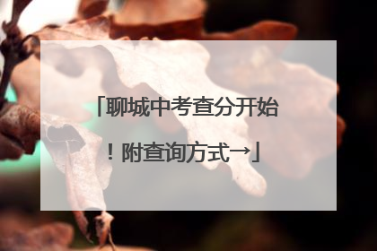 聊城中考查分开始！附查询方式→