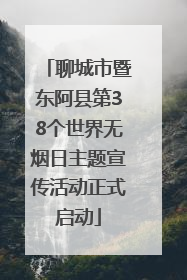聊城市暨东阿县第38个世界无烟日主题宣传活动正式启动