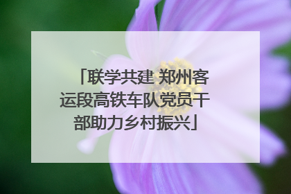 联学共建 郑州客运段高铁车队党员干部助力乡村振兴