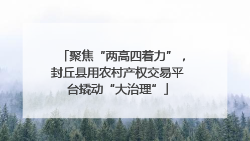 聚焦“两高四着力”，封丘县用农村产权交易平台撬动“大治理”
