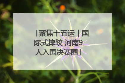聚焦十五运｜国际式摔跤 河南9人入围决赛圈