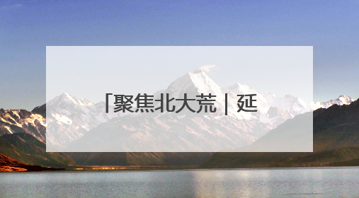 聚焦北大荒｜延军农场：飞防出击 “一喷多效”