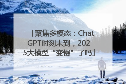 聚焦多模态：ChatGPT时刻未到，2025大模型“变慢”了吗
