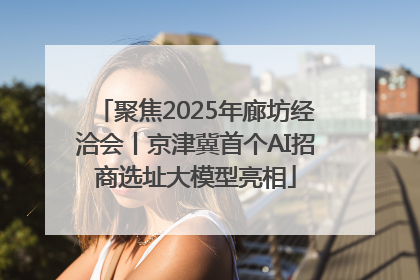 聚焦2025年廊坊经洽会丨京津冀首个AI招商选址大模型亮相