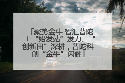 聚势金牛 智汇普陀〡“始发站”发力、“创新田”深耕，普陀科创“金牛”闪耀