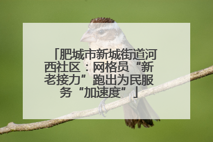 肥城市新城街道河西社区：网格员“新老接力”跑出为民服务“加速度”