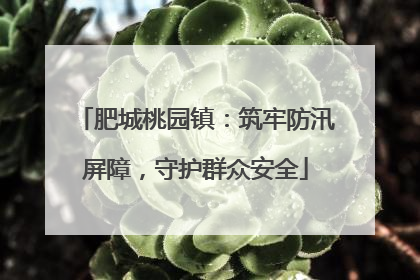 肥城桃园镇：筑牢防汛屏障，守护群众安全