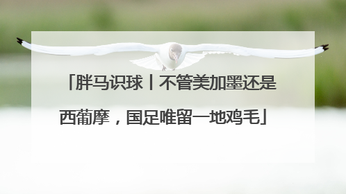 胖马识球丨不管美加墨还是西葡摩，国足唯留一地鸡毛