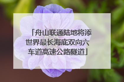 舟山联通陆地将添世界最长海底双向六车道高速公路隧道