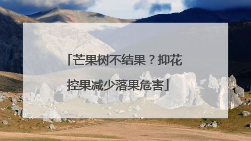 芒果树不结果？抑花控果减少落果危害