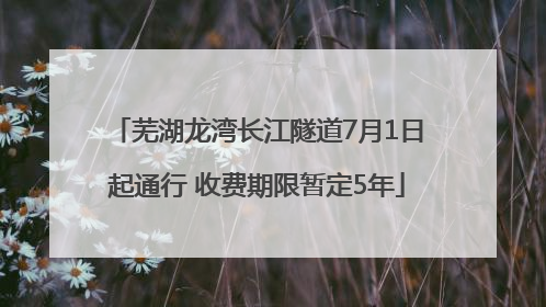 芜湖龙湾长江隧道7月1日起通行 收费期限暂定5年