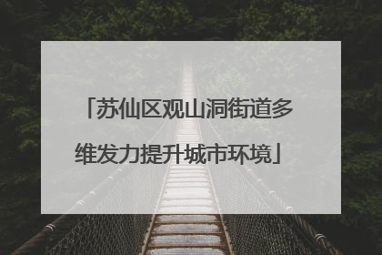 苏仙区观山洞街道多维发力提升城市环境