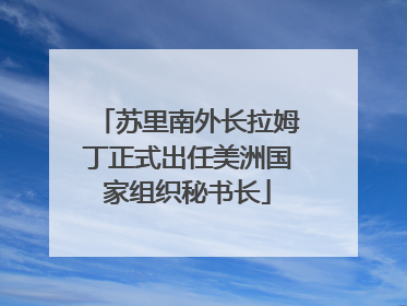 苏里南外长拉姆丁正式出任美洲国家组织秘书长