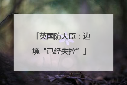 英国防大臣：边境“已经失控”