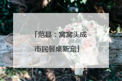 范县：窝窝头成市民餐桌新宠