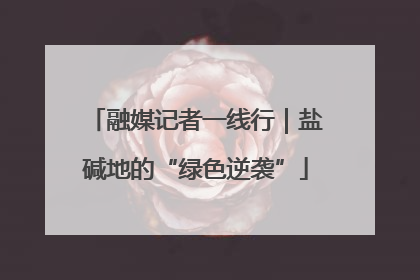 融媒记者一线行｜盐碱地的“绿色逆袭”