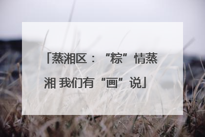 蒸湘区：“粽”情蒸湘 我们有“画”说