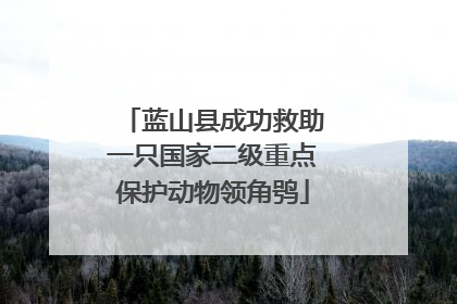蓝山县成功救助一只国家二级重点保护动物领角鸮