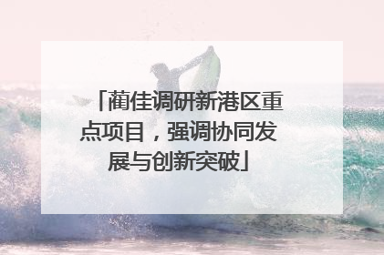 蔺佳调研新港区重点项目，强调协同发展与创新突破