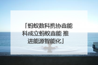 蚂蚁数科携协鑫能科成立蚂蚁鑫能 推进能源智能化