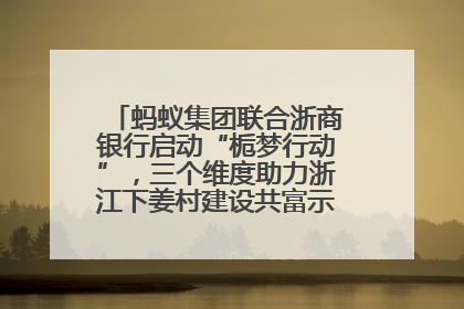 蚂蚁集团联合浙商银行启动“栀梦行动”，三个维度助力浙江下姜村建设共富示范区示范点