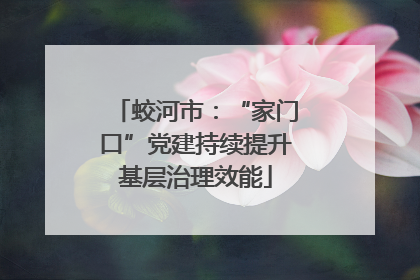 蛟河市：“家门口”党建持续提升基层治理效能
