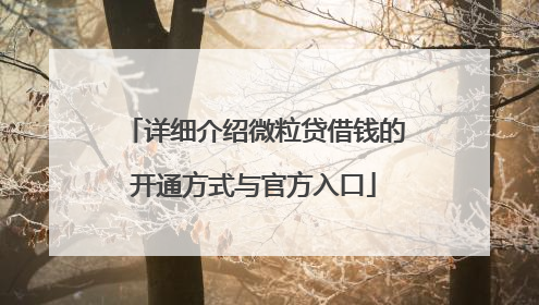 详细介绍微粒贷借钱的开通方式与官方入口