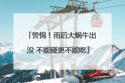 警惕！雨后大蜗牛出没 不能碰更不能吃