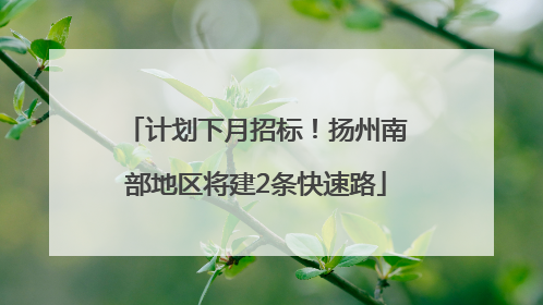 计划下月招标！扬州南部地区将建2条快速路