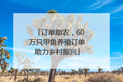 订单助农，60万只甲鱼养殖订单助力乡村振兴