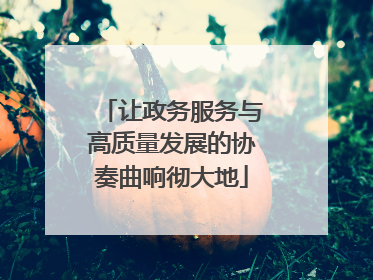 让政务服务与高质量发展的协奏曲响彻大地