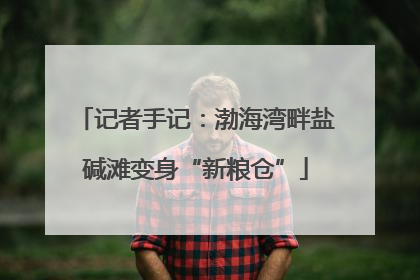 记者手记：渤海湾畔盐碱滩变身“新粮仓”
