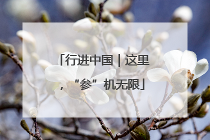 行进中国｜这里，“参”机无限
