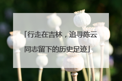 行走在吉林，追寻陈云同志留下的历史足迹
