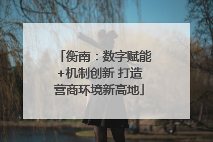 衡南：数字赋能+机制创新 打造营商环境新高地