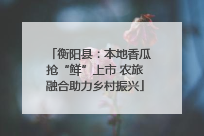 衡阳县：本地香瓜抢“鲜”上市 农旅融合助力乡村振兴