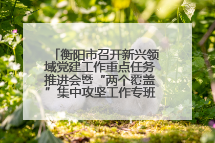 衡阳市召开新兴领域党建工作重点任务推进会暨“两个覆盖”集中攻坚工作专班 第一次会议