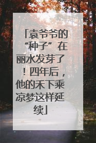 袁爷爷的“种子”在丽水发芽了！四年后，他的禾下乘凉梦这样延续