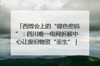西博会上的“绿色密码”：四川唯一电网拆解中心让废旧物资“重生”｜西博寻“新”记