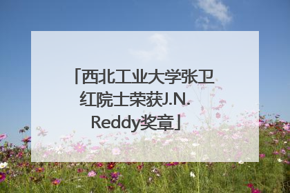 西北工业大学张卫红院士荣获J.N.Reddy奖章