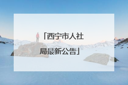 西宁市人社局最新公告