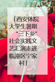 西安体院大学生暑期“三下乡”社会实践文艺汇演走进临潼区宁家村