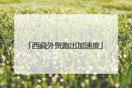 西藏外贸跑出加速度