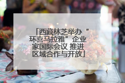 西藏林芝举办“环喜马拉雅”企业家国际会议 推进区域合作与开放