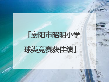 襄阳市昭明小学球类竞赛获佳绩