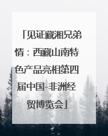 见证藏湘兄弟情：西藏山南特色产品亮相第四届中国-非洲经贸博览会