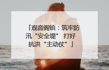 观音阁镇：筑牢防汛“安全堤” 打好抗洪“主动仗”