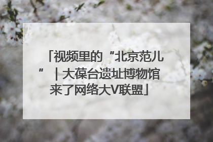 视频里的“北京范儿”｜大葆台遗址博物馆来了网络大V联盟