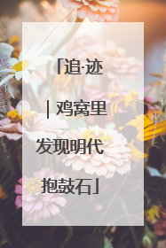 追·迹｜鸡窝里发现明代抱鼓石
