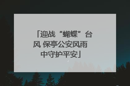 迎战“蝴蝶”台风 保亭公安风雨中守护平安